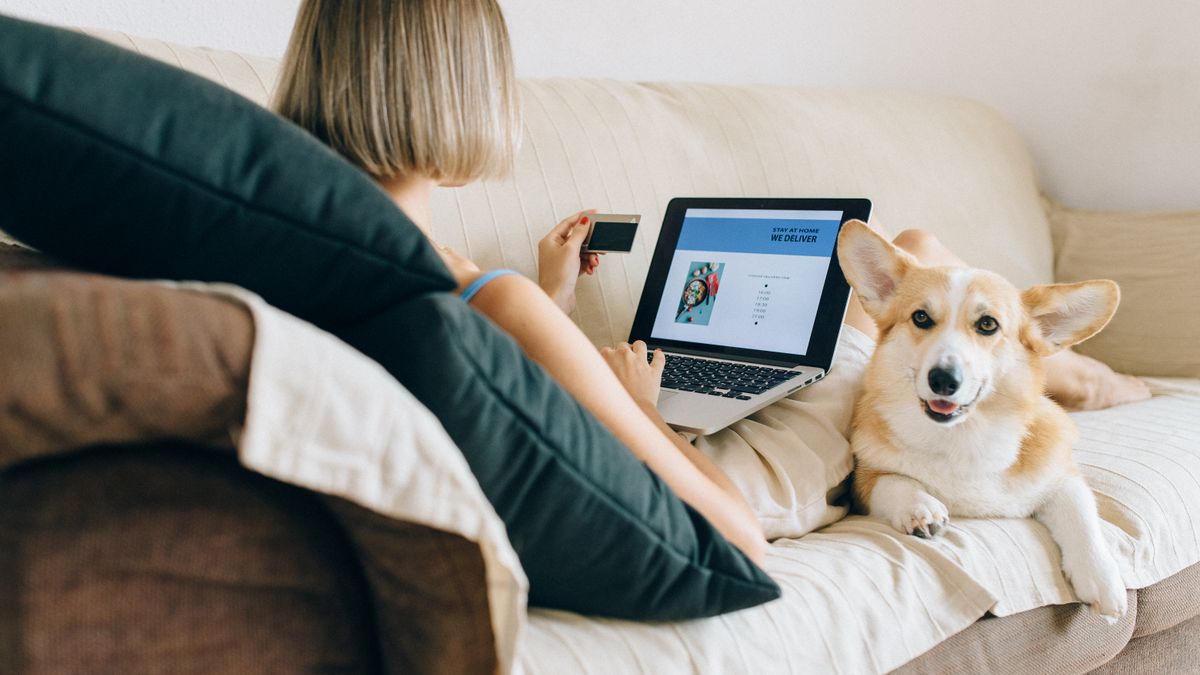 A woman using a laptop for online shopping with her corgi dog beside her on the couch
